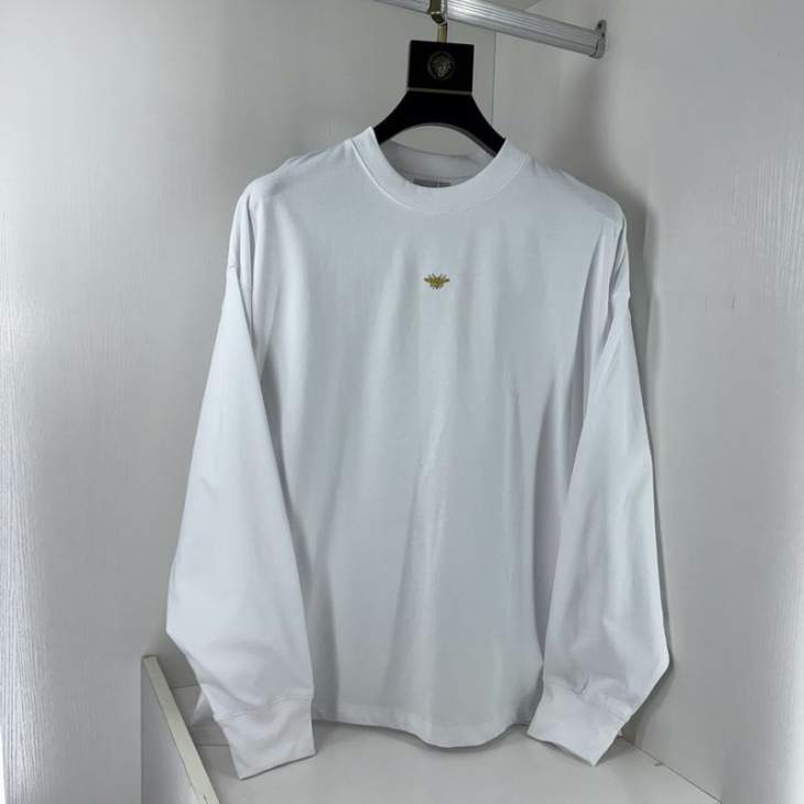 Picture of Dior T Shirt Long _SKUDiorS-XLtltx8050471